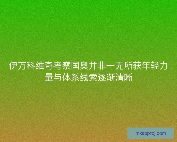 伊万科维奇考察国奥并非一无所获年轻力量与体系线索逐渐清晰