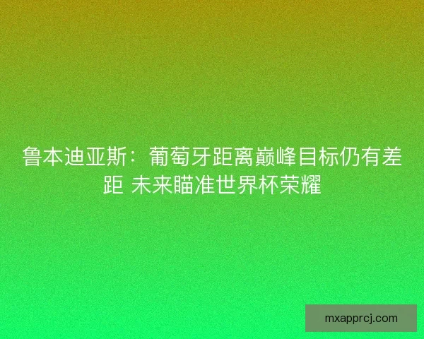 鲁本迪亚斯：葡萄牙距离巅峰目标仍有差距 未来瞄准世界杯荣耀
