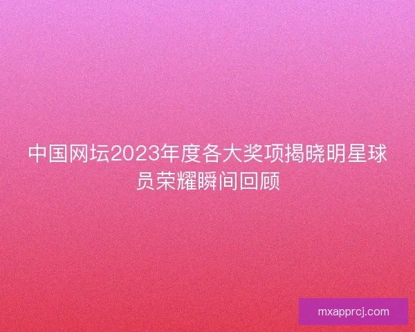 中国网坛2023年度各大奖项揭晓明星球员荣耀瞬间回顾